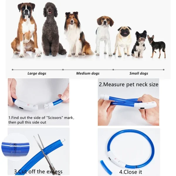 Dog Collar With Led Light, USB Rechargeable