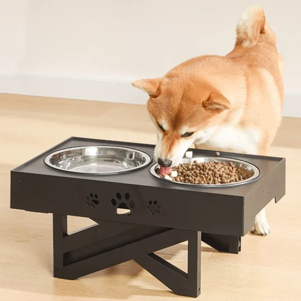 Water and Food Double Bowl with 3 Adjustable Heights