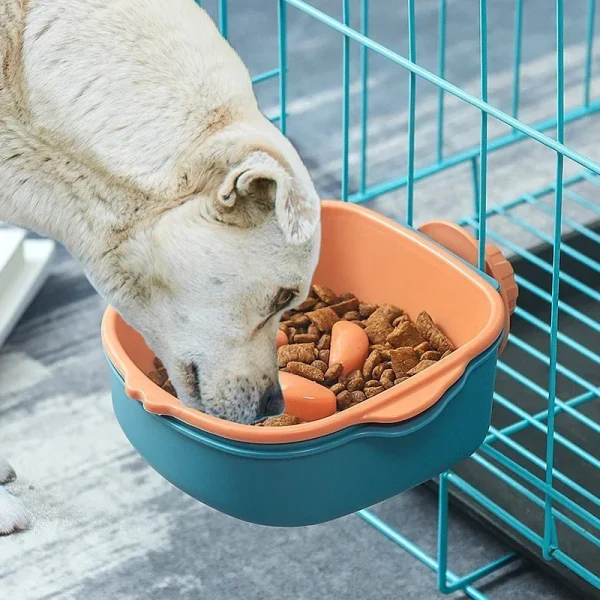 Pet Double-layer Food, Water Bow
