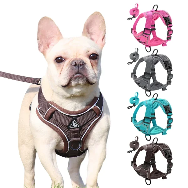 Reflective Dog Harness and Leash Set Mesh, Nylon