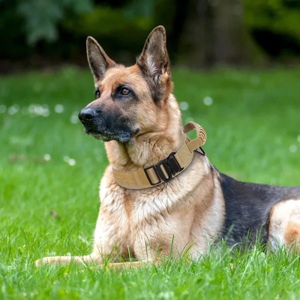 Durable Tactical Dog Collar, Adjustable Nylon Military Collar