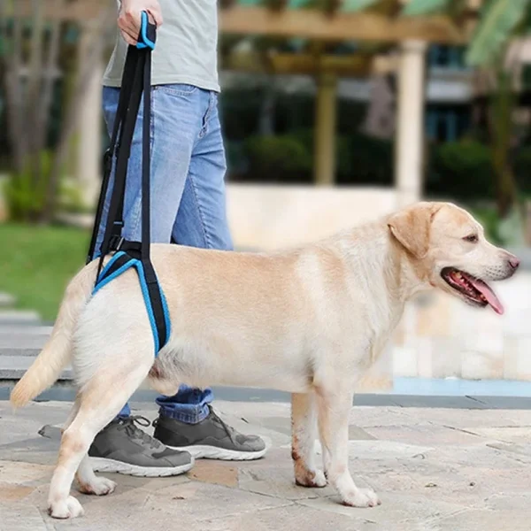 Adjustable Dog Lift Harness For Back Legs Support