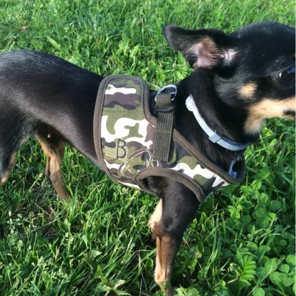 Leopard Style Dog Harness For Small Dogs