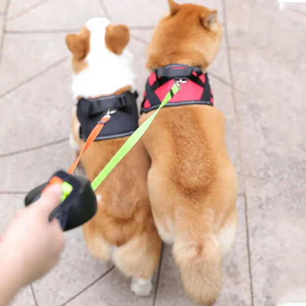 2 Color Retractable Dual Double Pet Leash