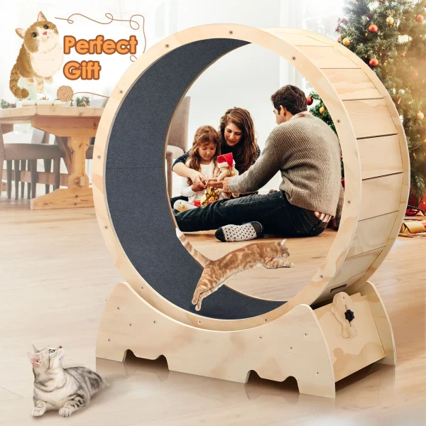 Solid Wood Cat Exercise Wheel, Quiet Spinning Wheel
