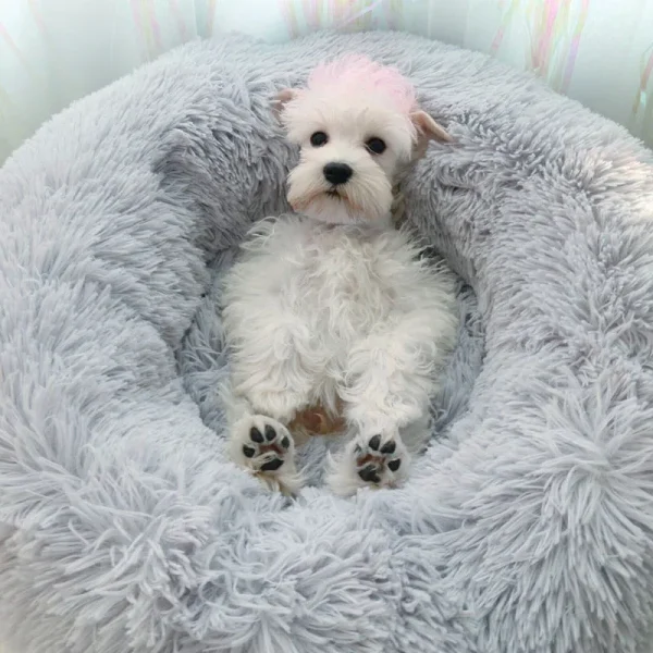 70CM Donut-Shaped Plush Pet Cuddler Bed Machine Washable Anti-Slip for Dog&Cat House Winter Warm Sleeping