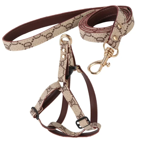 Aged Leather Pet Leash Set