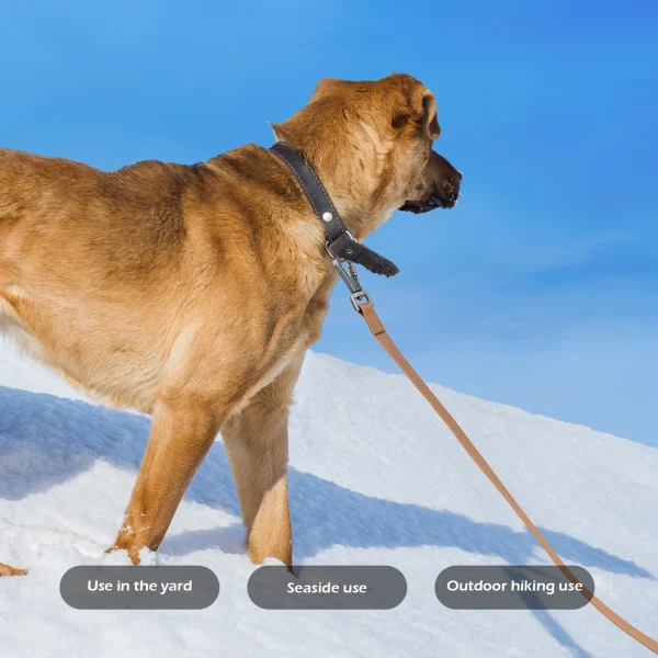 1.8M 3M 5M 10M PVC Dog Leash for Large Dog