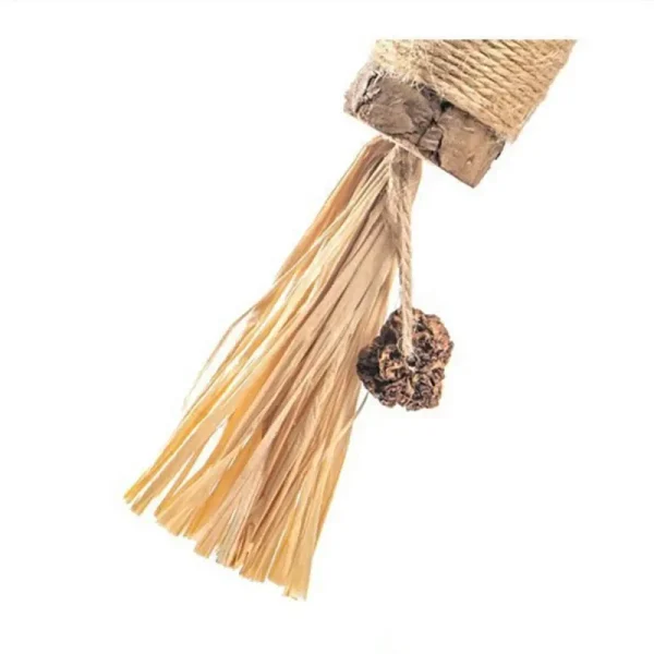 Natural Matatabi  Cat Snacks Stick, Cleans Tooth