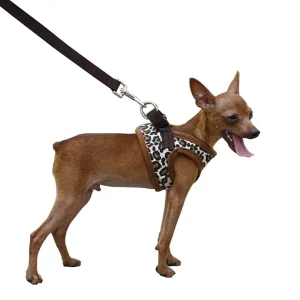 Leopard Style Dog Harness For Small Dogs