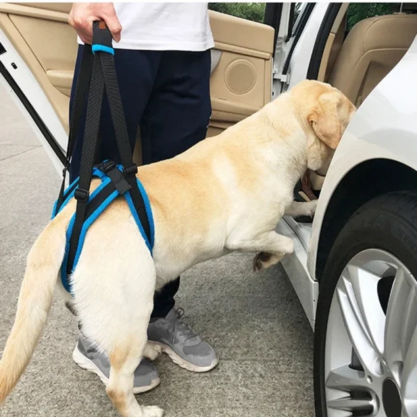 Adjustable Dog Lift Harness For Back Legs Support
