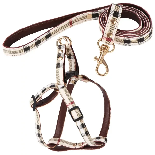 Aged Leather Pet Leash Set