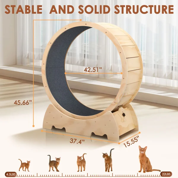 Solid Wood Cat Exercise Wheel, Quiet Spinning Wheel