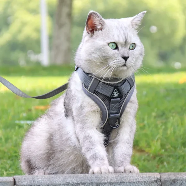 Reflective Dog Harness and Leash Set Mesh, Nylon