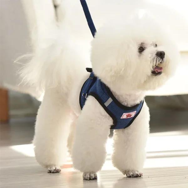 Dog Harness, No Pull Adjustable Collar For Small Dogs