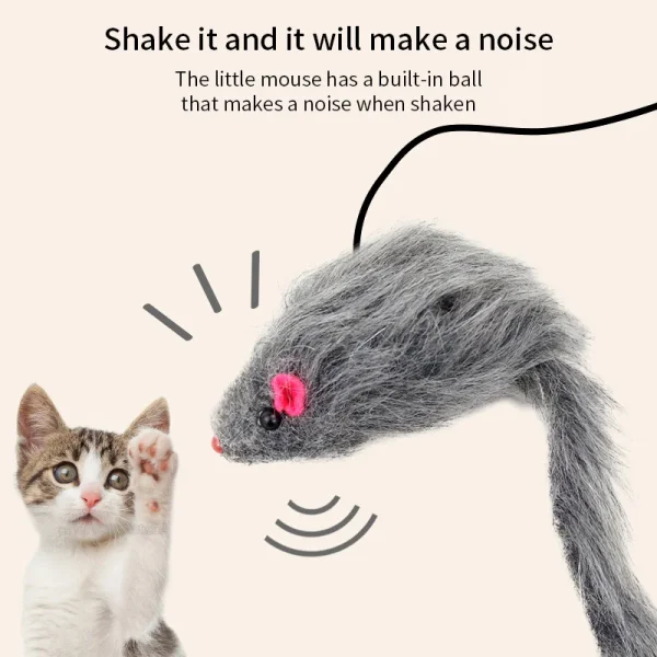 Interactive Cat Toy, Hanging Clip Door