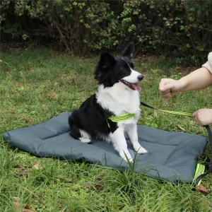 Foldable Pet Sleeping Pad for Outdoor Camping