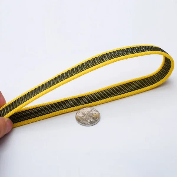 2m 3m 5m Long Dog Leash with Non-Slip Rubber