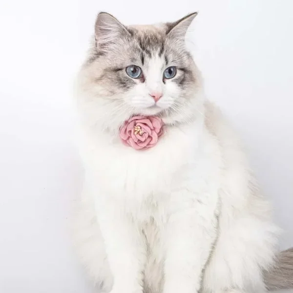 1pc Cute Cat Collar Adjustable Flower Necklace