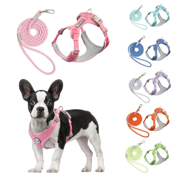 Walking Dog Harnesses Set With Leashes