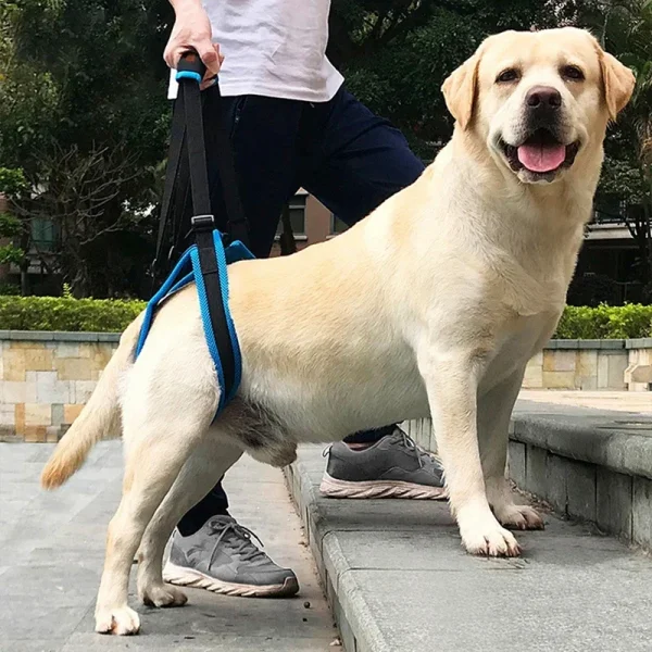 Adjustable Dog Lift Harness For Back Legs Support