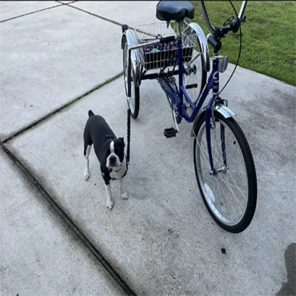 Upgraded  Bicycle Dog Walking Rope