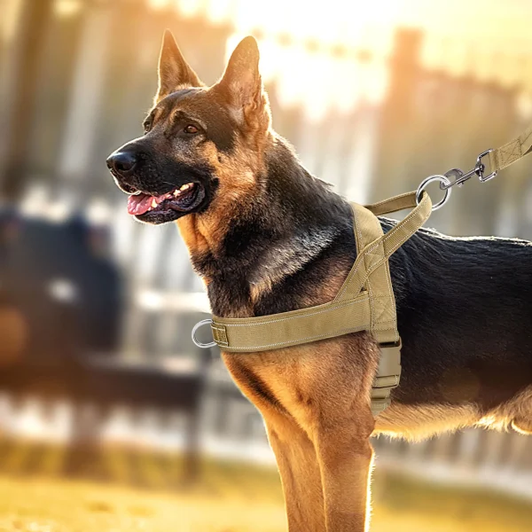 Nylon Durable Dog Harness with Handle