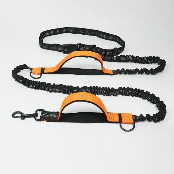 Dog Running Comfortable Traction Rope