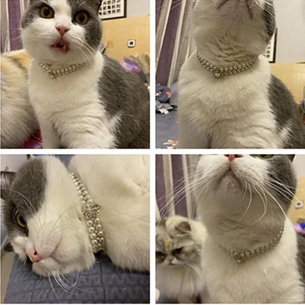 Luxury Cat Pearl Necklace, Rhinestone Collar