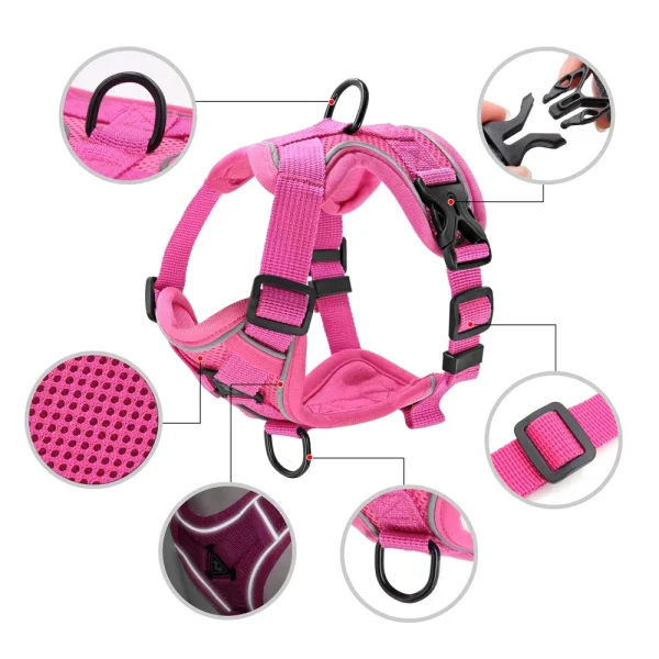 Reflective Dog Harness and Leash Set Mesh, Nylon