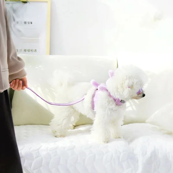 Cute Vest Harness for Small Dog
