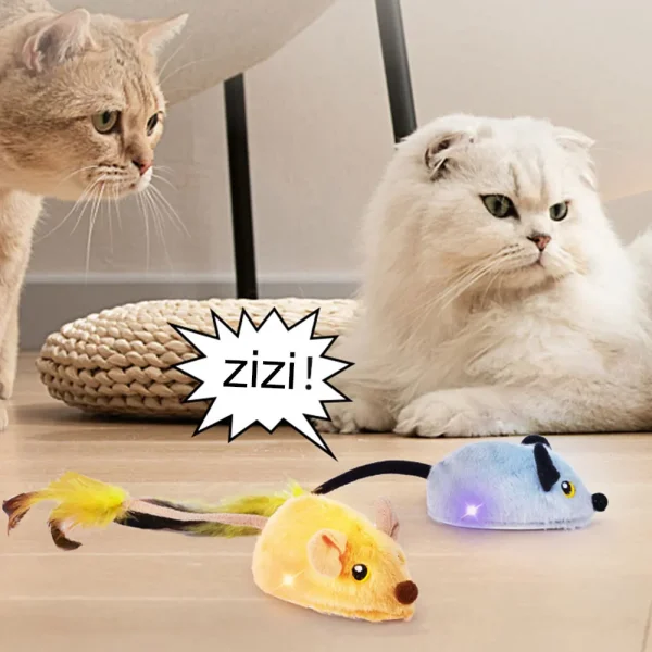Interactive Cat Toy, Rechargeable Moving Mouse