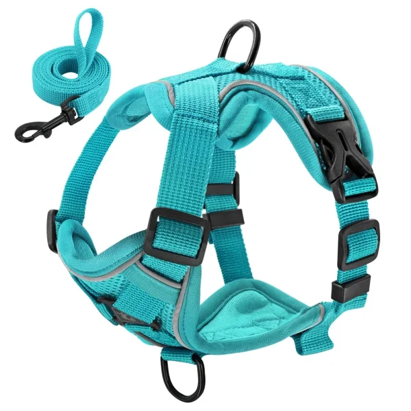 Reflective Dog Harness and Leash Set Mesh, Nylon