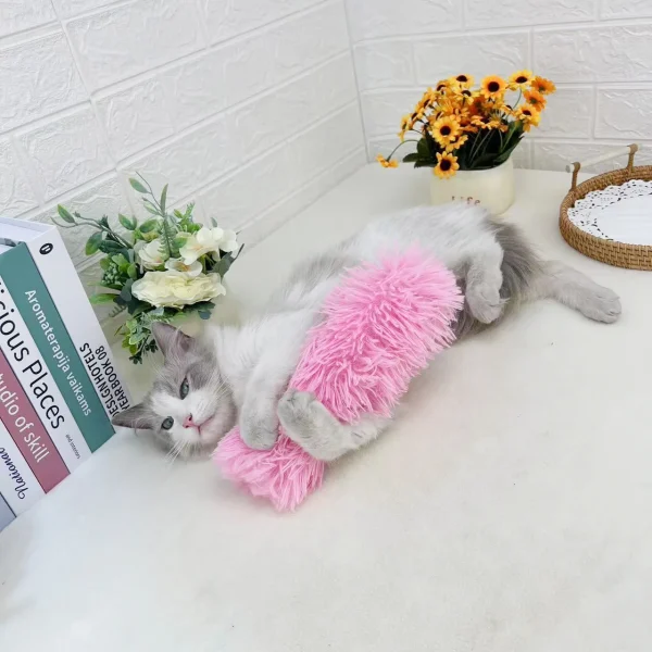 Interactive Soft Cat Toy, Pillow Teaser