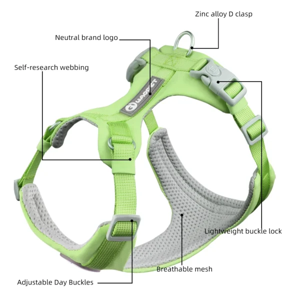Walking Dog Harnesses Set With Leashes