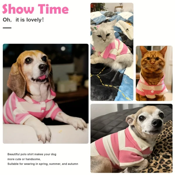 Collared Summer Shirt for Small Dogs and Cats