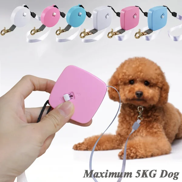 Outdoor Automatic Retractable Mini Pet Leash