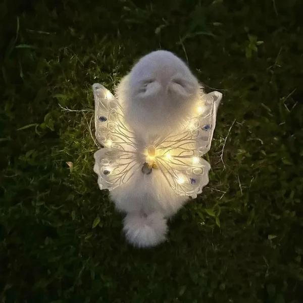 Glowing Butterfly Wings, Dog Harness & Summer Outfit