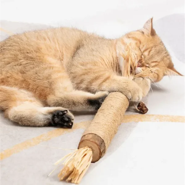 Natural Matatabi  Cat Snacks Stick, Cleans Tooth