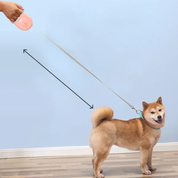 Auto Retractable Dog Leash for Small Medium Dogs