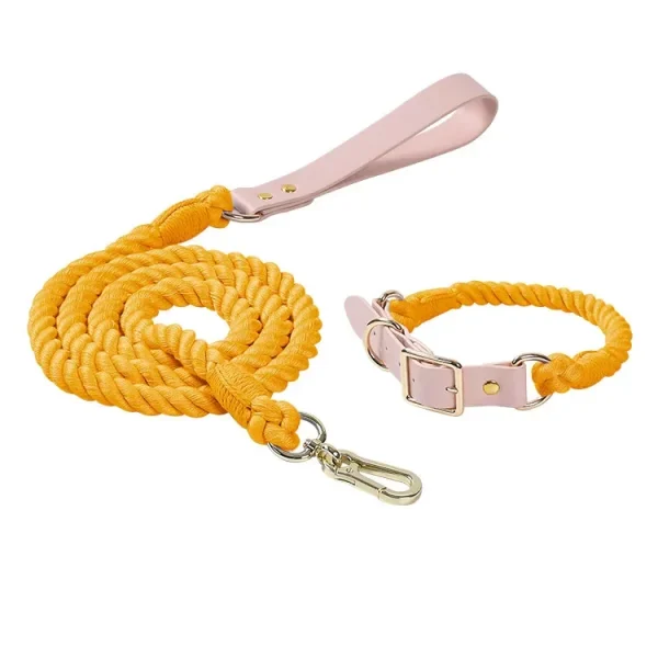 Colorful Leather Dog Collars