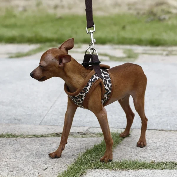 Leopard Style Dog Harness For Small Dogs