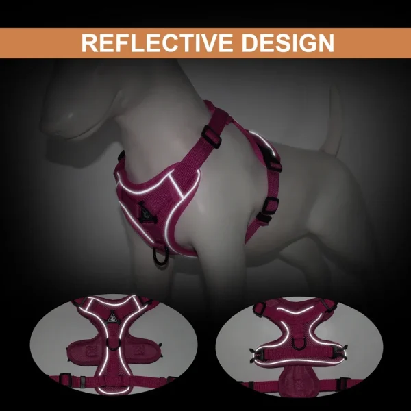 Reflective Dog Harness and Leash Set Mesh, Nylon