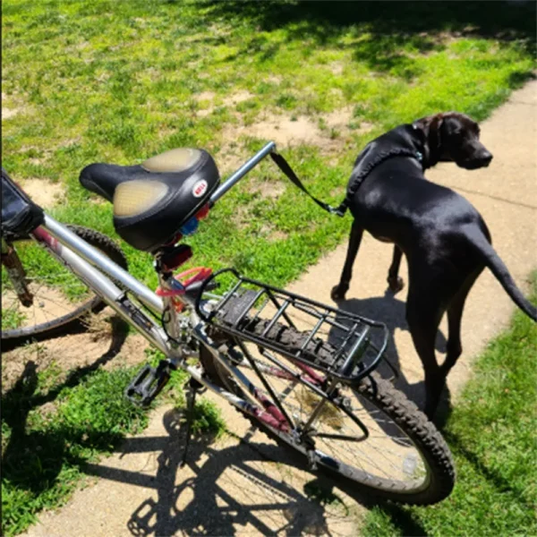 Upgraded  Bicycle Dog Walking Rope