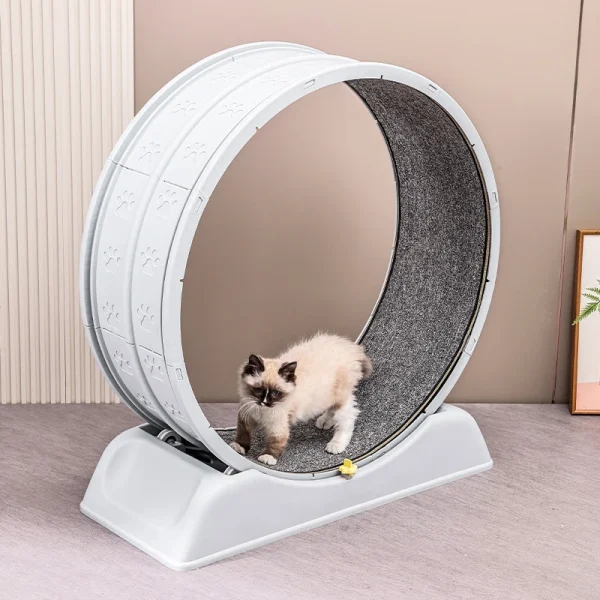 Treadmill for Cats, to Parkour at Home, Easy-to-Assemble Exercise