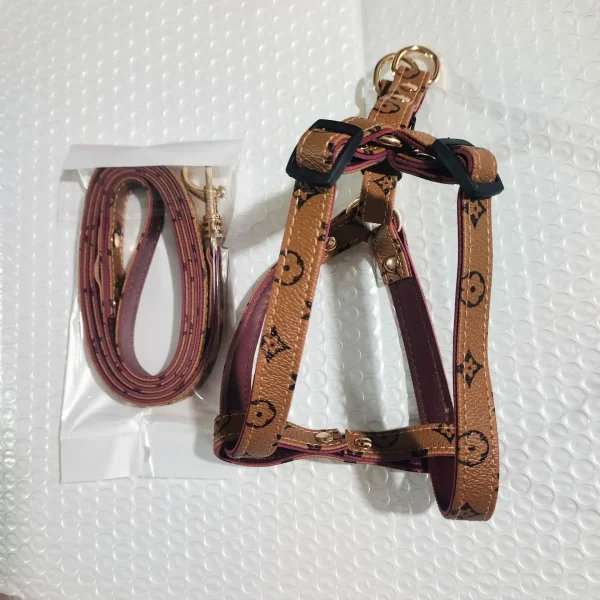 Aged Leather Pet Leash Set