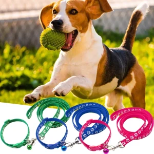 1pcs Lovely Dog Leash and Collar Set 1.2M, Anti-lost